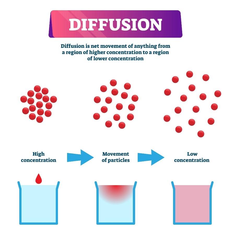 Diffusion